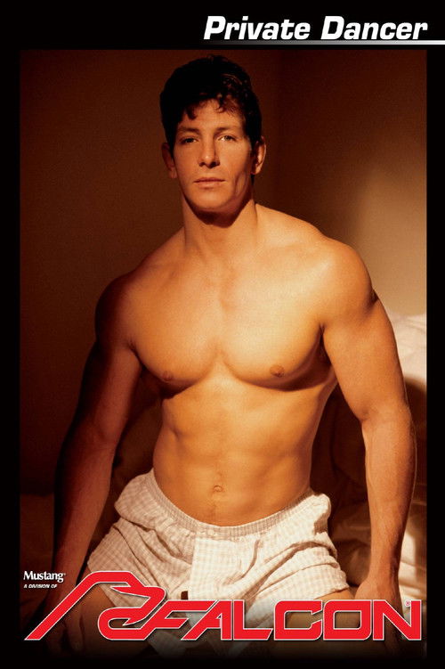 Private Dancer (1993) poster