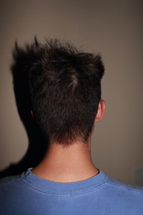 Gavin Facial (2023) poster