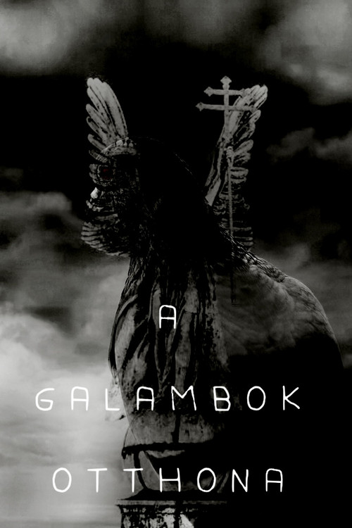 Home of Pigeons (2025) poster