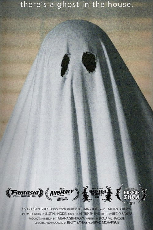 There's a Ghost in the House (2020) poster