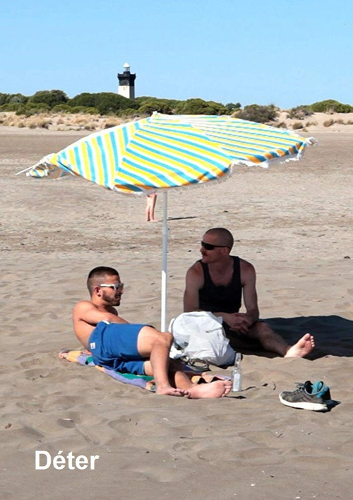 Déter (2017) poster