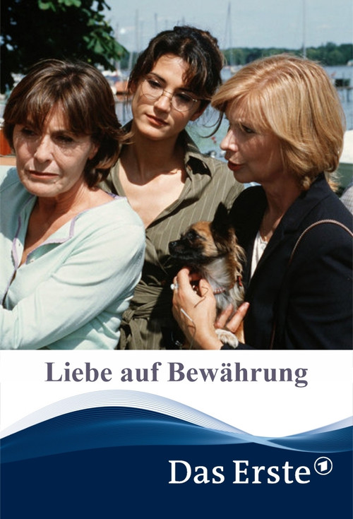 Liebe auf Bewährung (2004) poster