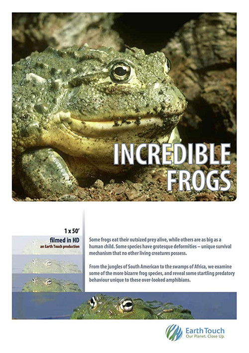 Incredible frogs (2015) poster