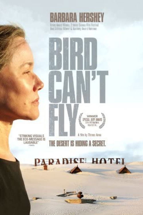 The Bird Can't Fly (2008) poster