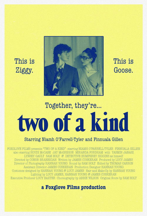 Two of a Kind (2025) poster