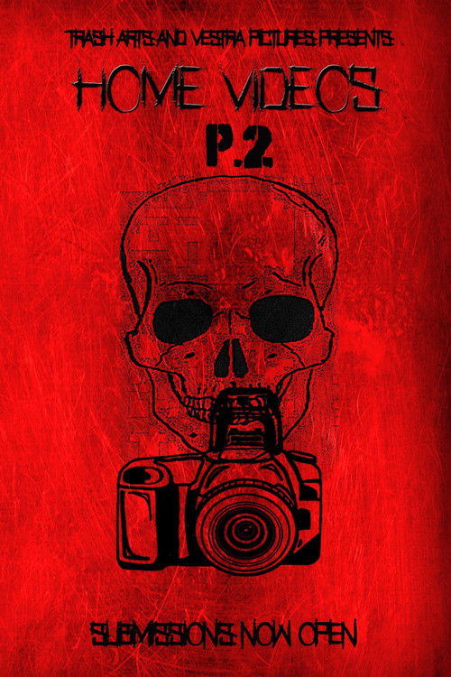 Home Videos 2 (2019) poster