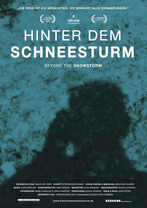 Hinter dem Schneesturm (2016) poster