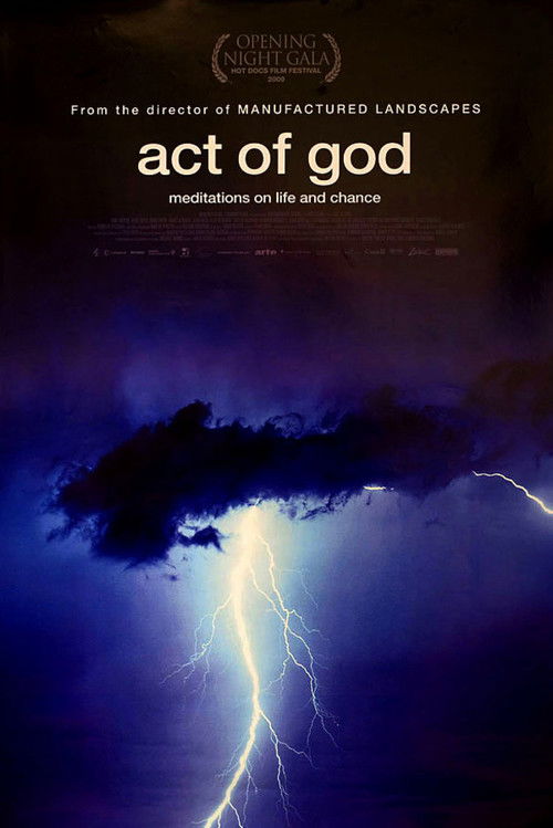 Act of God (2009) poster