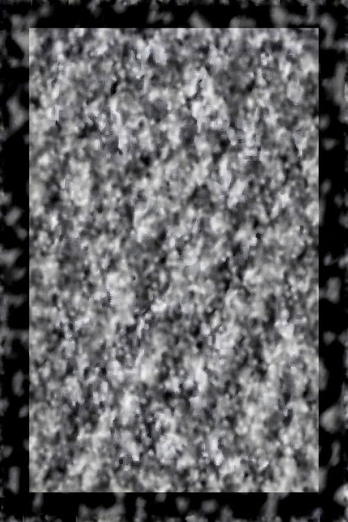 While We Look Down (2023) poster