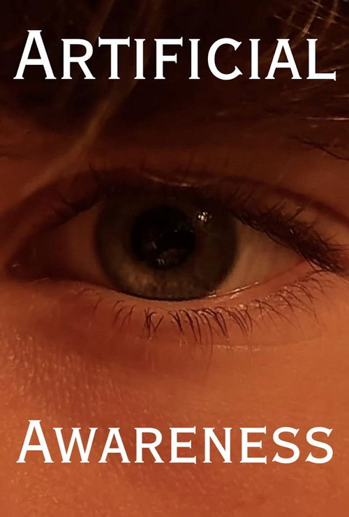 Artificial Awareness (2024) poster