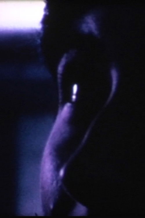 The Steel Chickn (1970) poster