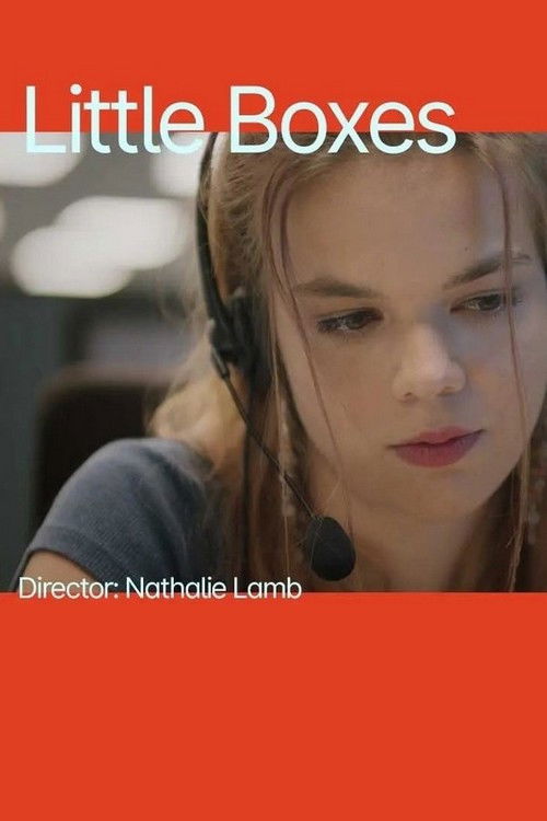 Little Boxes (2023) poster