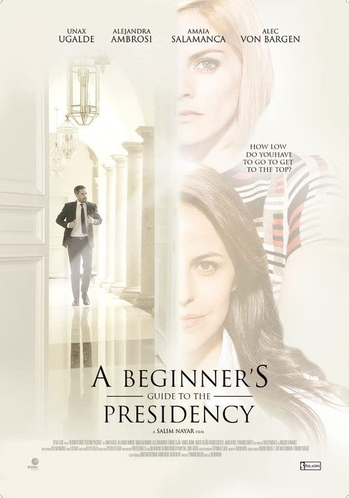 A Beginner's Guide to the Presidency (2016) poster