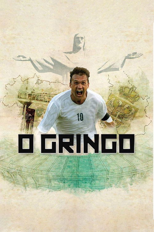 O Gringo (2011) poster