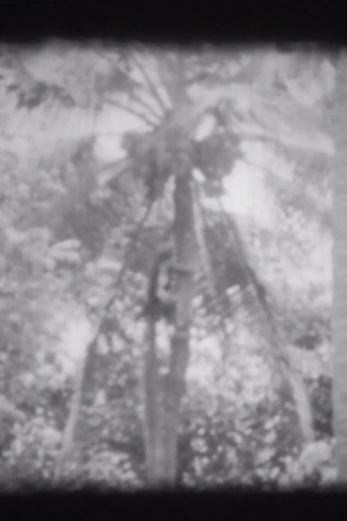 Trunks (2013) poster