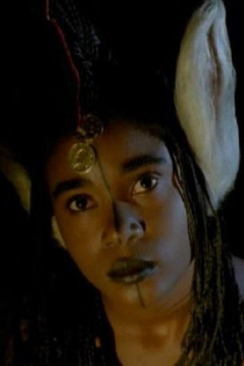 Fary the Donkey (1990) poster