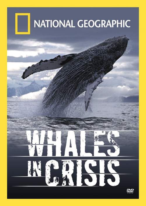 Whales in Crisis (2004) poster