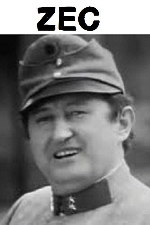 The Rabbit (1975) poster