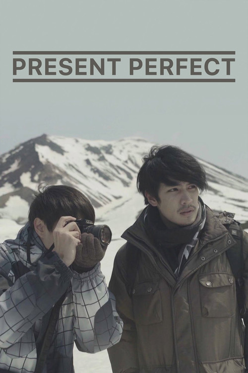 Present Perfect (2017) poster