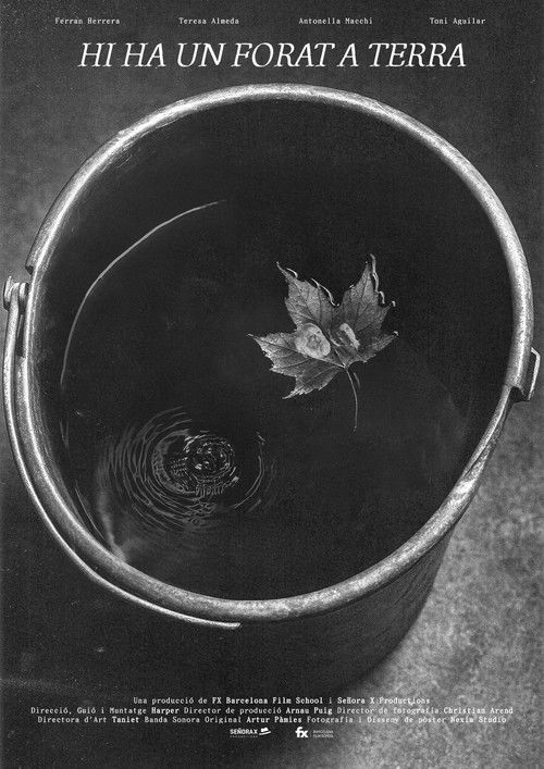 Hi ha un forat a terra poster