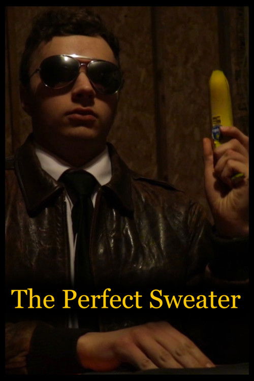 The Perfect Sweater (2019) poster