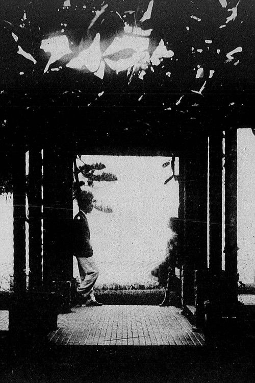 Meu Primeiro Amor (1930) poster