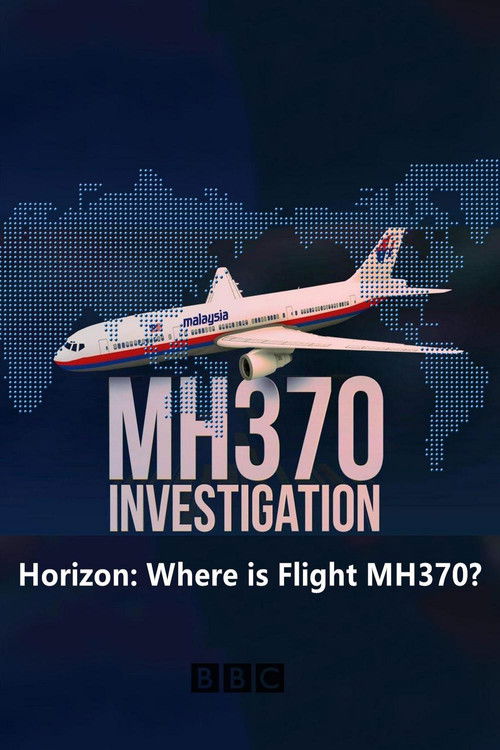 Horizon: Where is Flight MH370? (2014) poster