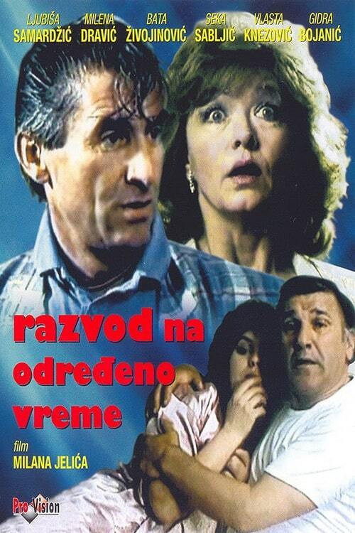 Part-Time Divorce (1986) poster