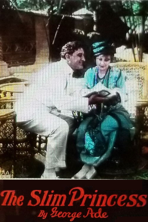 The Slim Princess (1915) poster