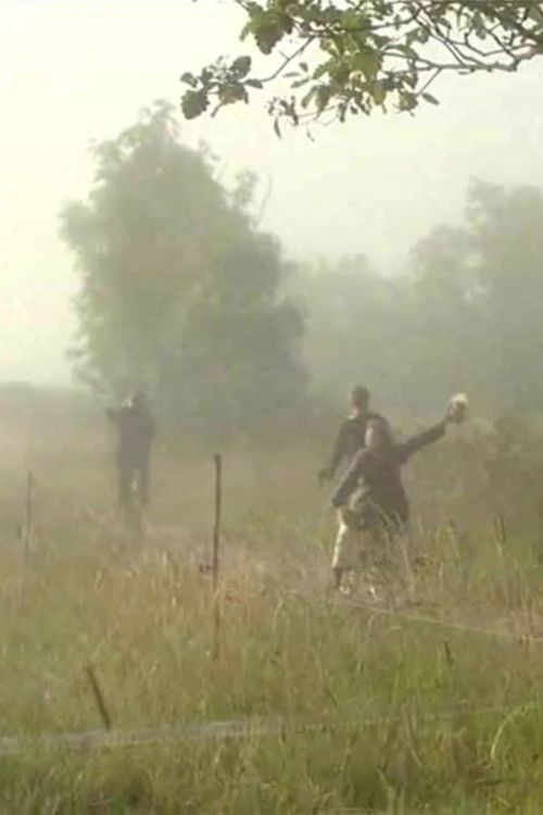 Playing with Fire (2009) poster