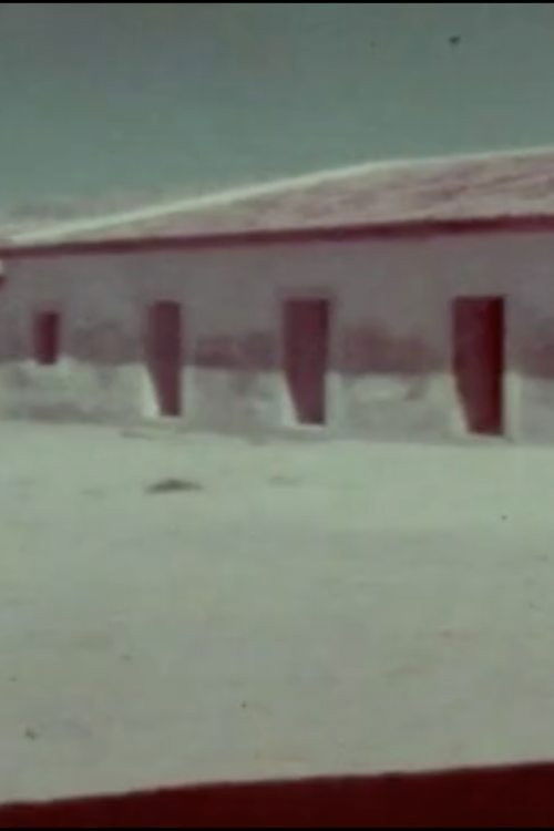 A Flor do Lácio é vadia (1978) poster