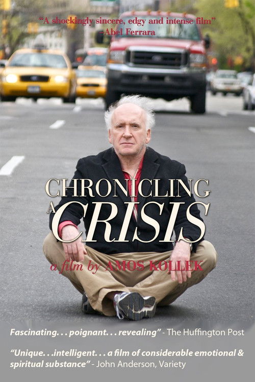 Chronicling A Crisis (2012) poster