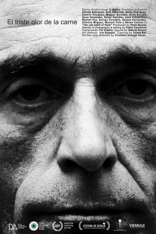 El triste olor de la carne (2013) poster