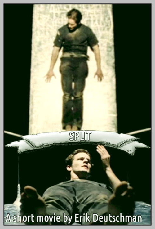 Split (1998) poster