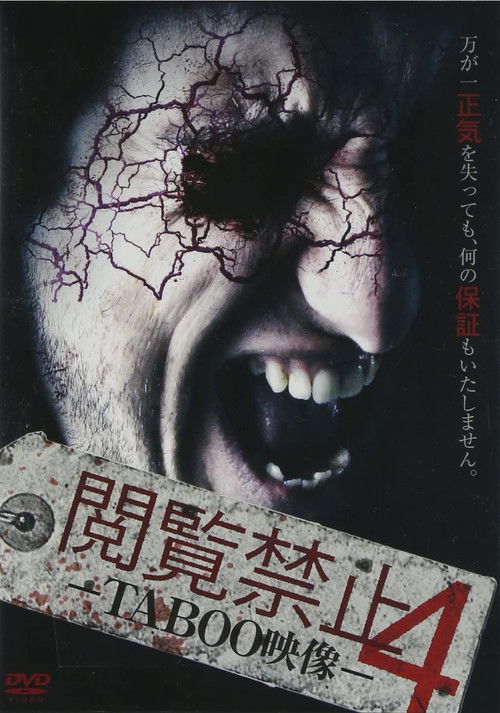 Viewing Prohibited 4 TABOO Video (2014) poster