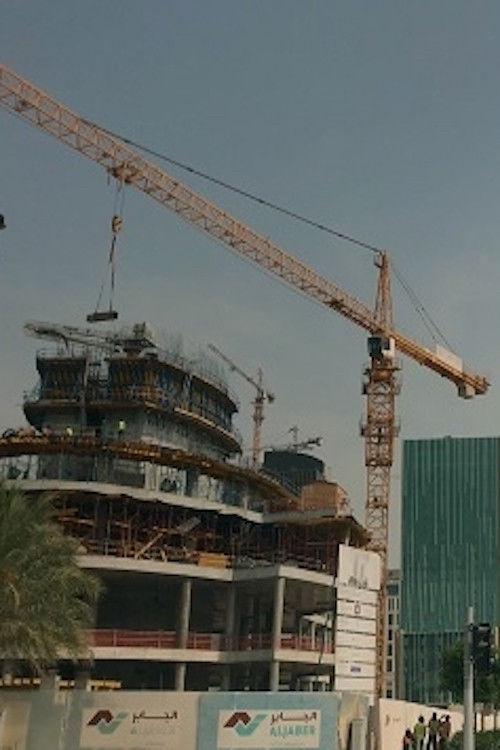 Voices from the Urbanscape (2017) poster