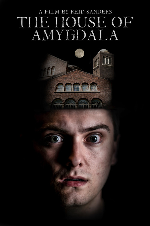 The House of Amygdala (2021) poster