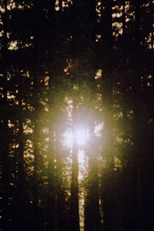 Mancoon (2007) poster