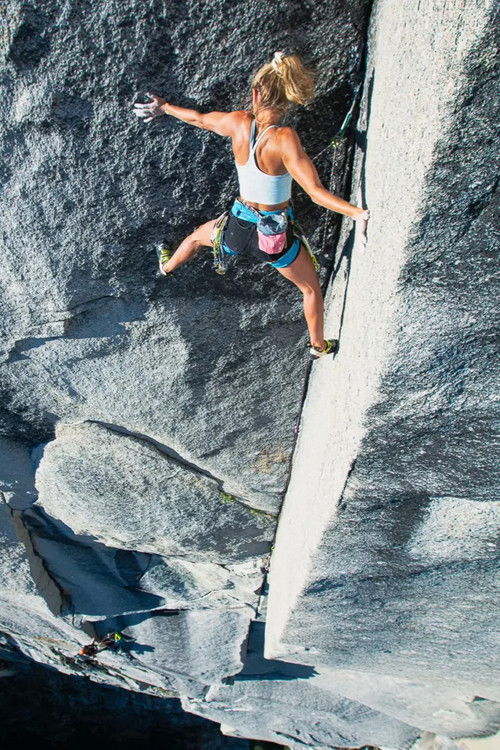 The Puzzle (2024) poster