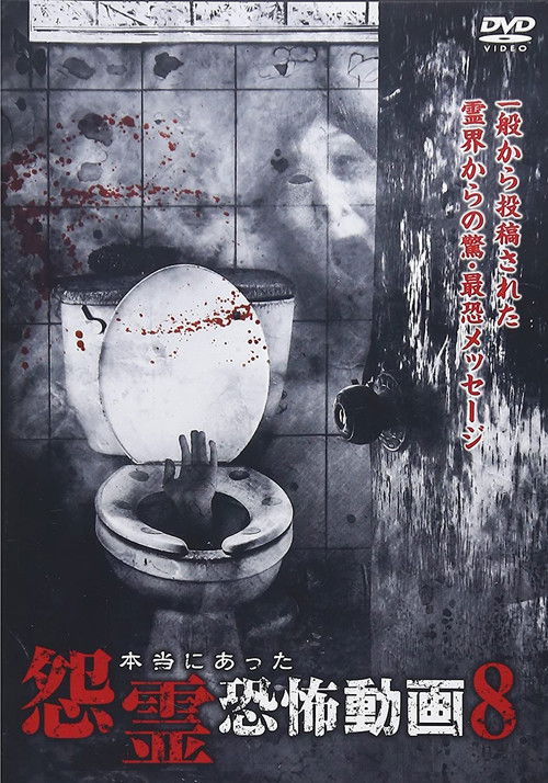 Real Vengeful Ghost Horror Video 8 (2014) poster