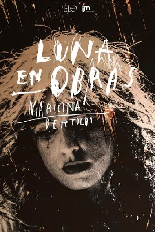 Luna en Obras (2024) poster