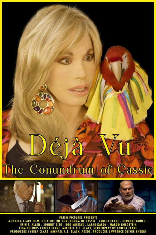 Déjà Vu: The Conundrum of Cassie (2025) poster