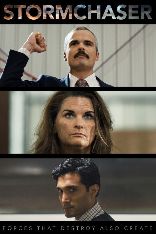 Stormchaser (2019) poster