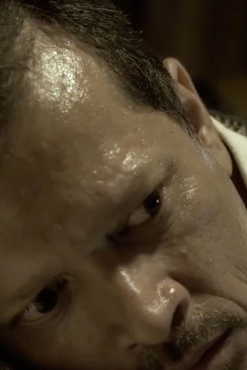 El Fin de una Dictadura (2016) poster