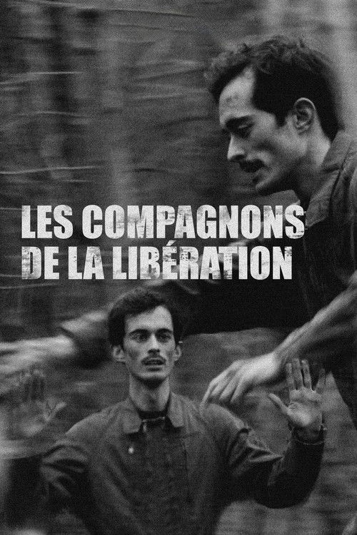 Les compagnons de la Libération poster