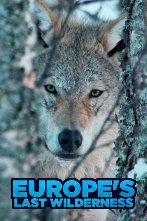 Europe's Last Wilderness (2017) poster