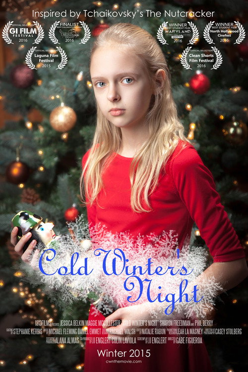 Cold Winter's Night (2015) poster