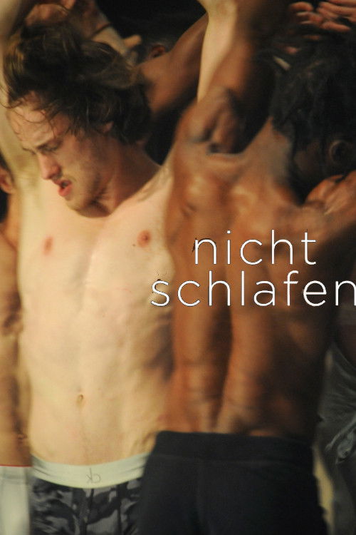 Alain Platel: Nicht Schlafen (2016) poster