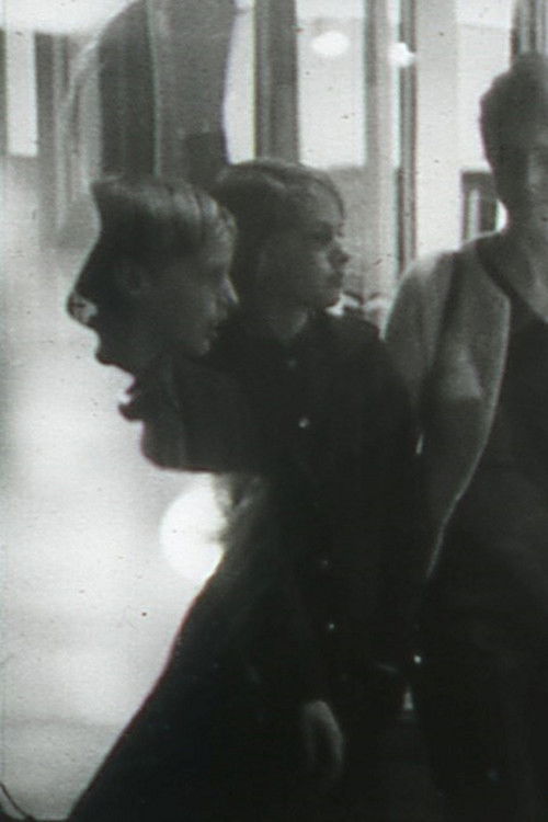 Image, Flesh and Voice (1969) poster