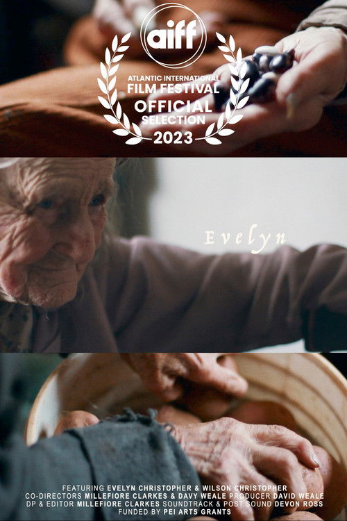 Evelyn (2023) poster